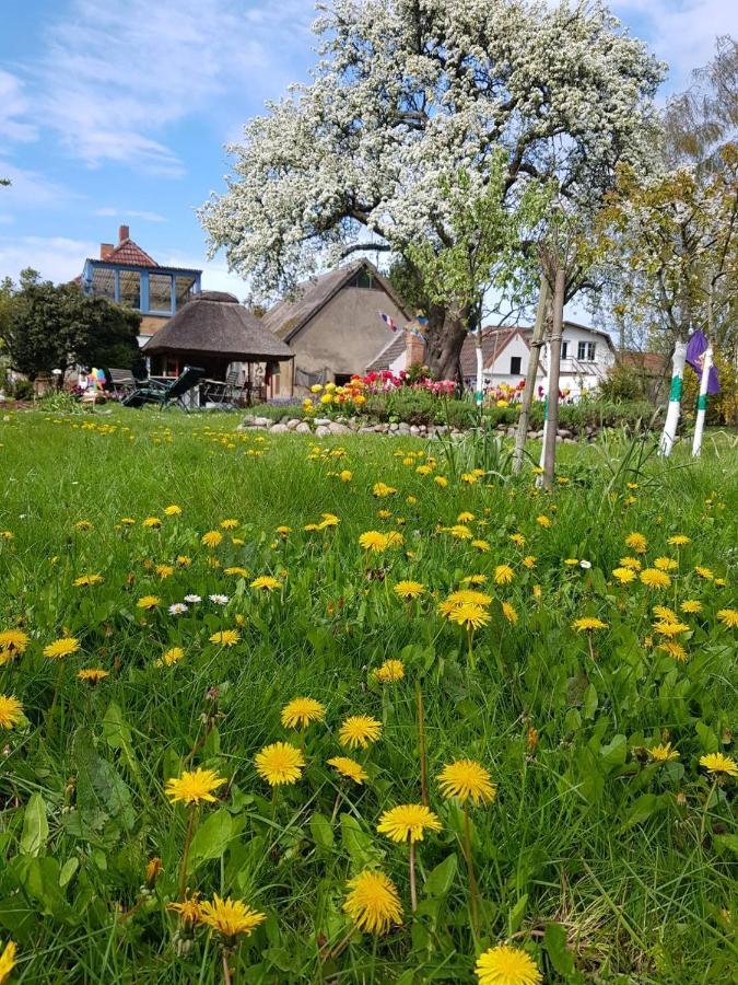 Appartement Hering I Terrace *