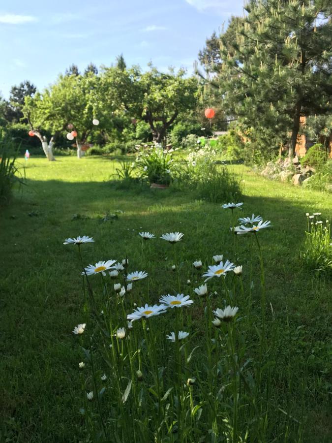 Hering I Terrace Appartement