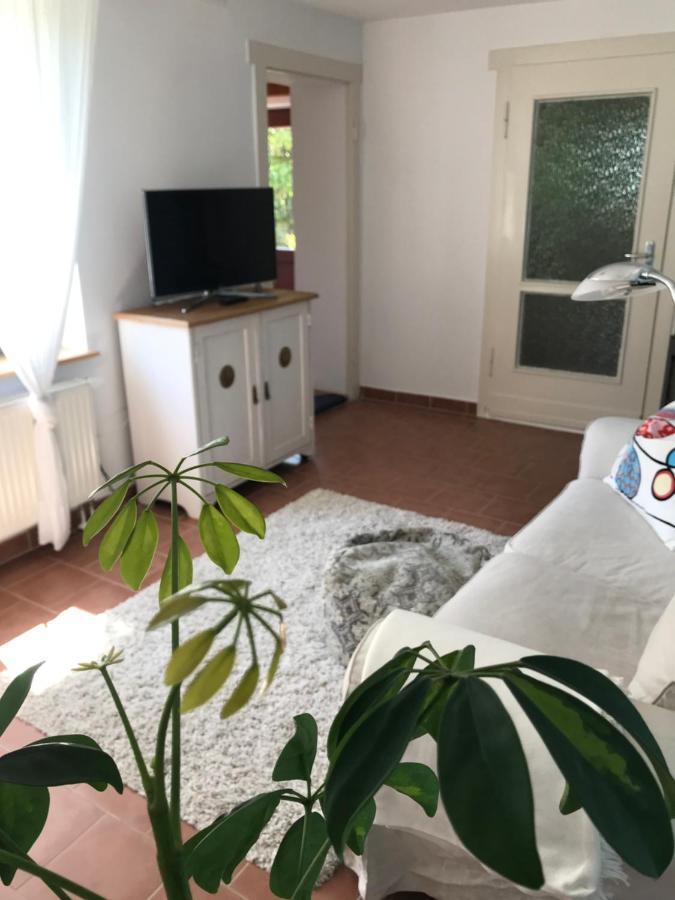 Hering I Terrace Apartment Wiek auf Ruegen