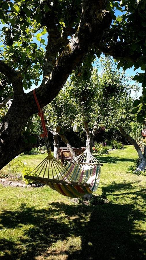 Hering I Terrace