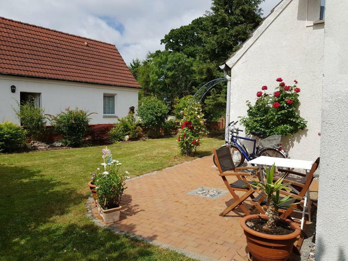 Hering I Terrace Apartment